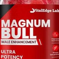 Magnum  Bull