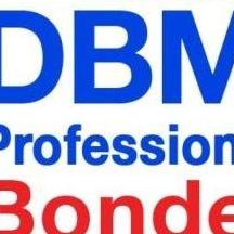 Professionl Janitorial