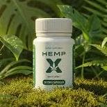 HempX CBD