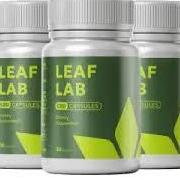 Leaf Lab